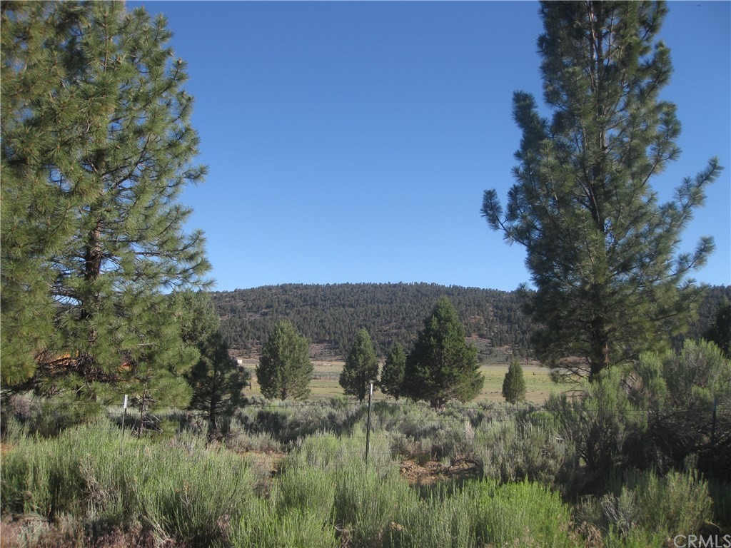 2805 Cedar Big Bear Ca  