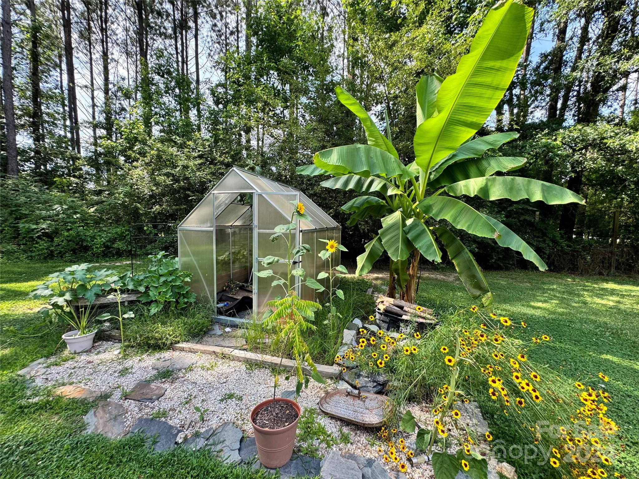 790 Langley Road Lancaster, SC 29720 - Photo 3 of 36 a backyard of a house with lots of green space