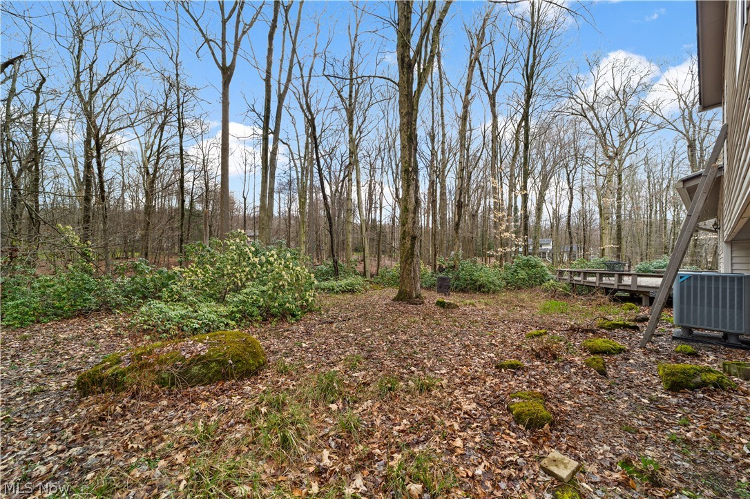 18763 Sharon Road Chagrin Falls, OH 44023 - Photo 4 of 37 View of yard with central AC