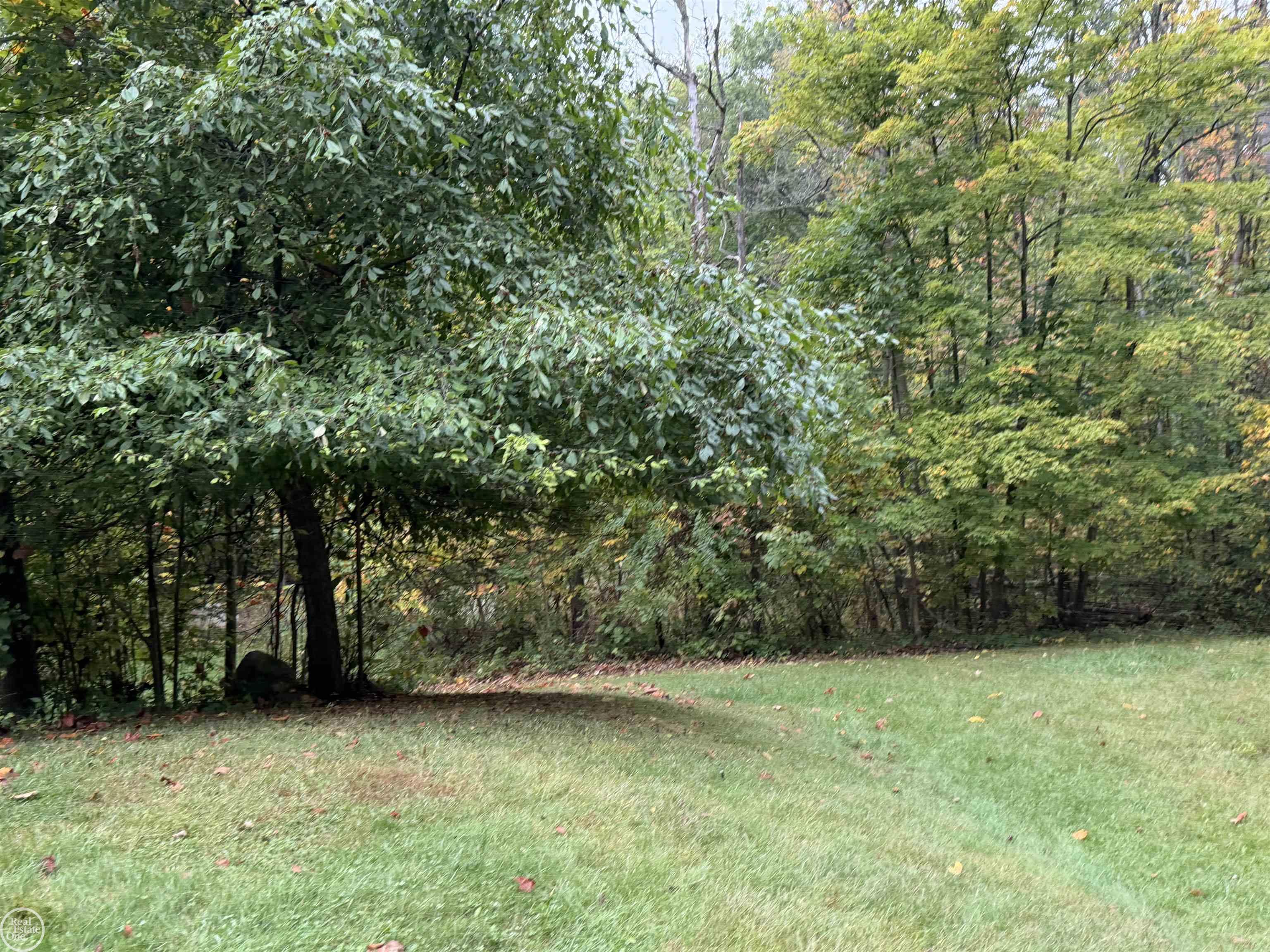 66301 Campground Road Washington, MI 48095 - Photo 17 of 32