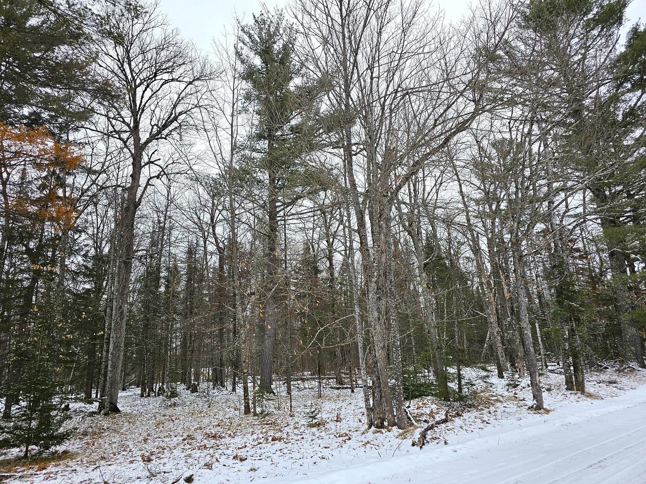 7785 Quill Point Road Mercer, WI 54547 - Photo 40 of 41 Gallery Image 40