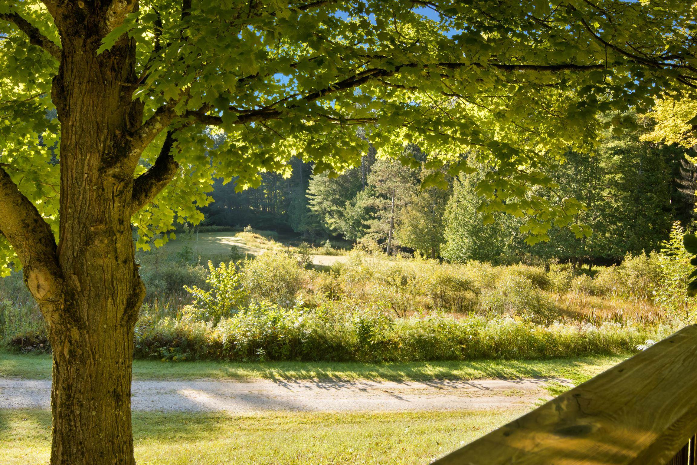 15172 Clark's Mill Road Interlochen, MI 49643 - Photo 48 of 69 1950615-f7becfaa-a14a-404c-96eb-9db712a4ca67.JPG