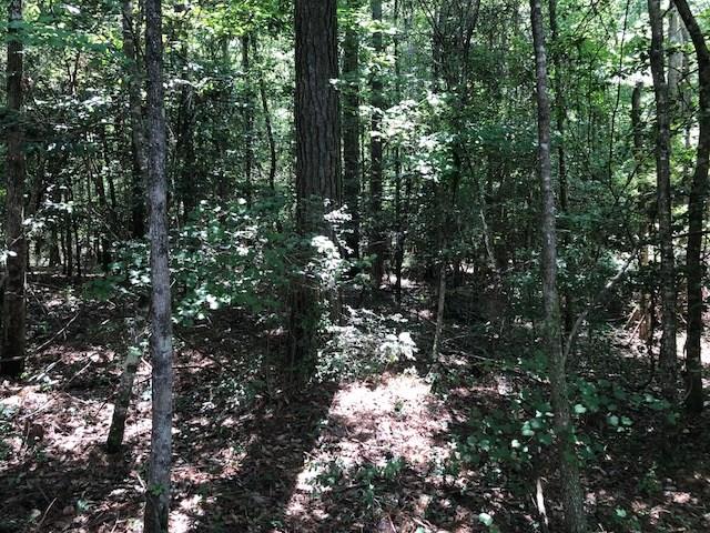 6-ac Lester Bell Road Brantley, AL 36009 - Photo 2 of 14 Gallery Image 2