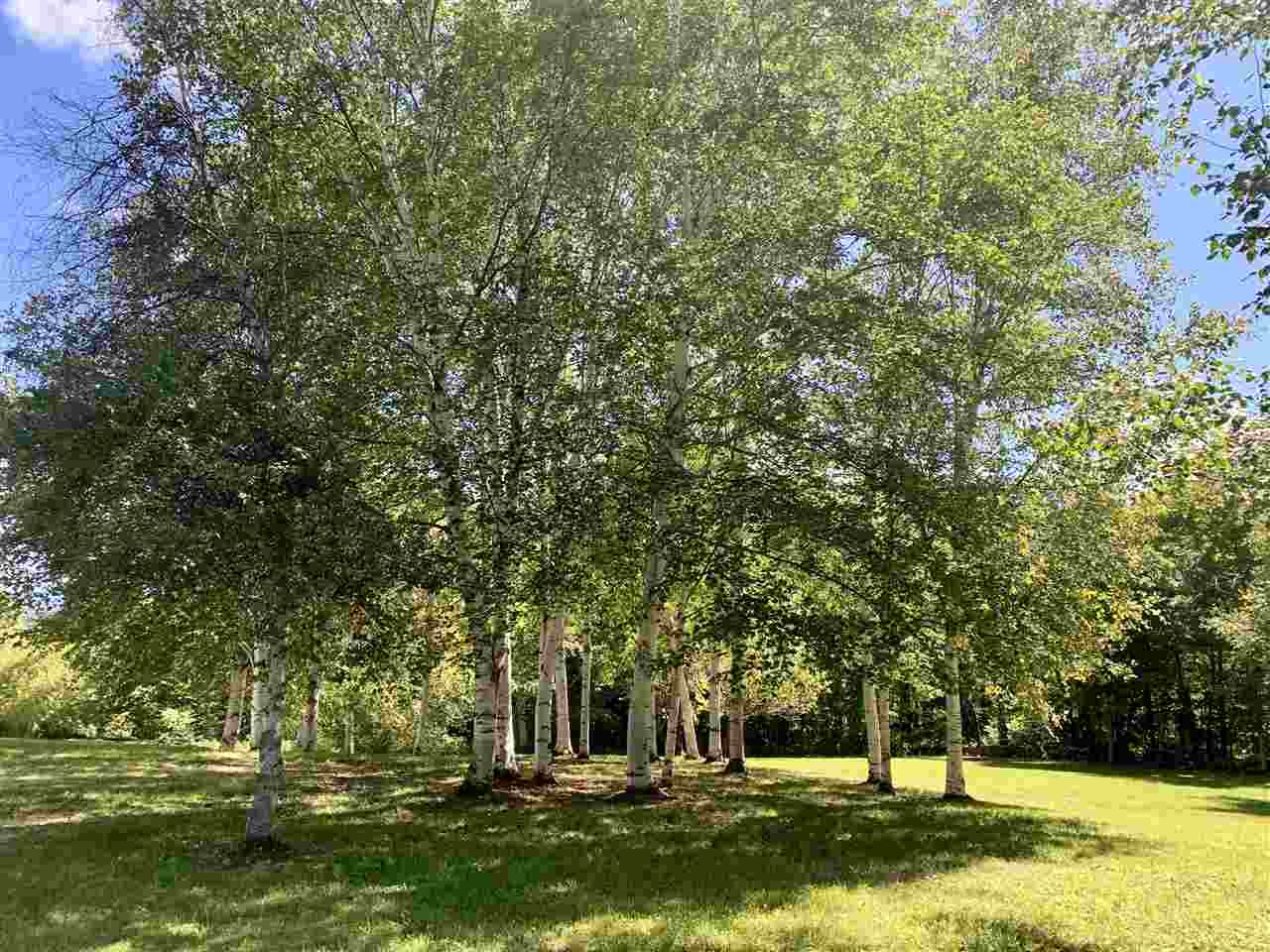 890 Darling Hill Road Vershire, VT 05079 - Photo 27 of 35