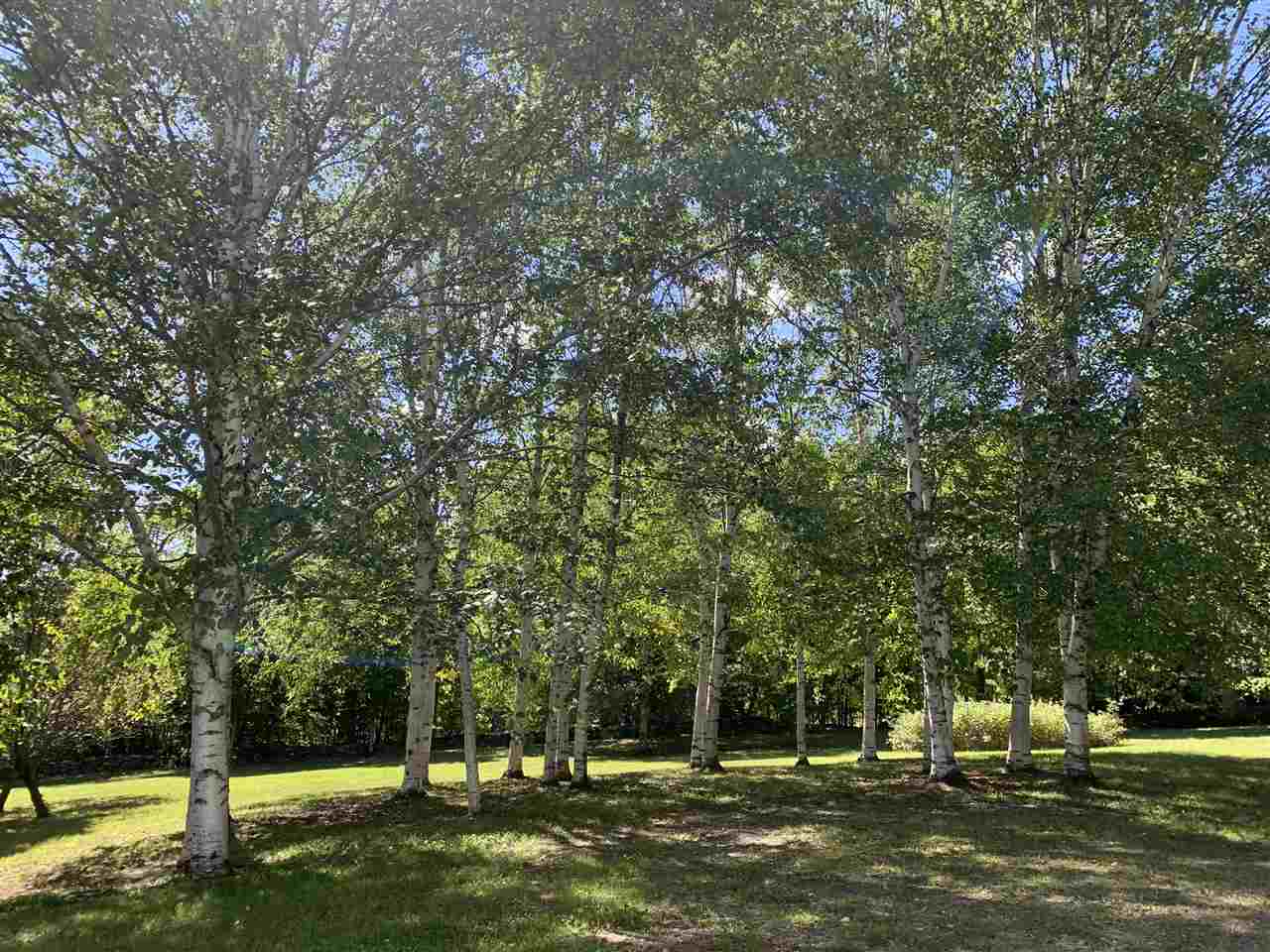 890 Darling Hill Road Vershire, VT 05079 - Photo 33 of 35