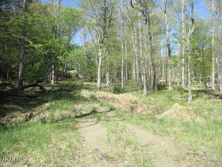 Off North Silver Pine Road Petersburg, PA 16669 - Photo 6 of 29 Gallery Image 6