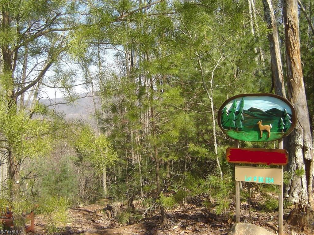 Tbd Doe Run Purlear, NC 28665 - Photo 1 of 15
