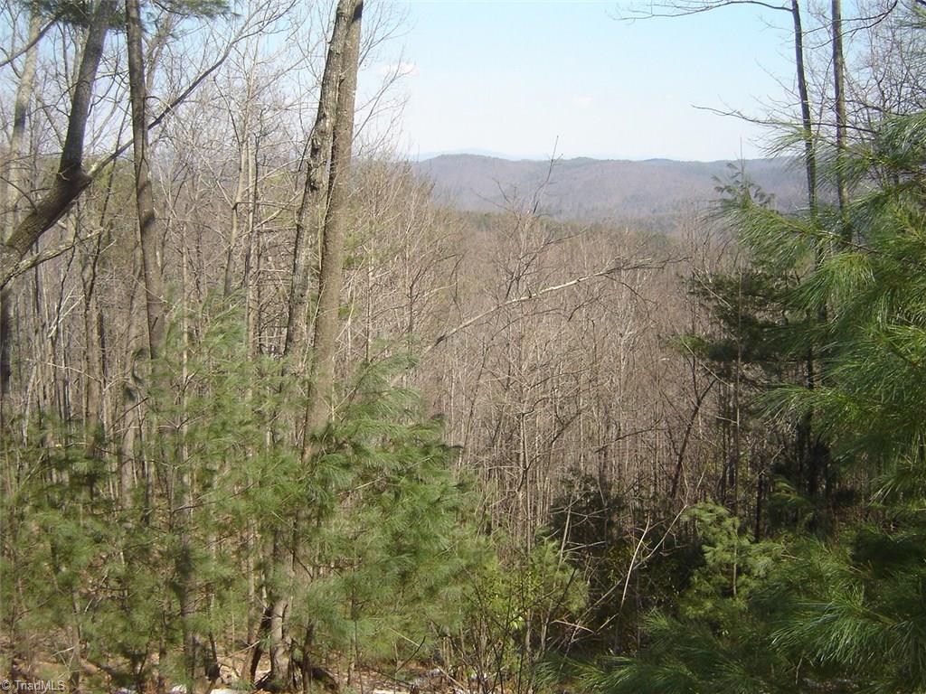 Tbd Doe Run Purlear, NC 28665 - Photo 2 of 15