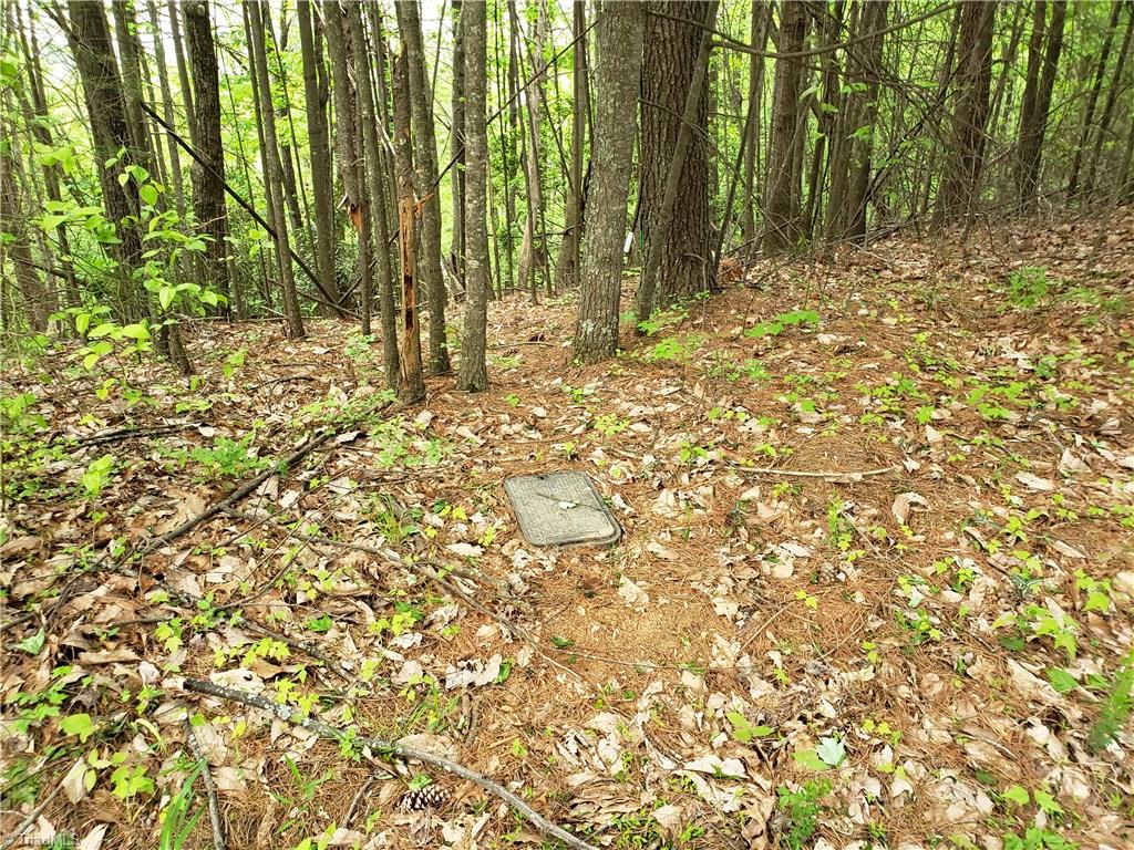 Tbd Doe Run Purlear, NC 28665 - Photo 13 of 15