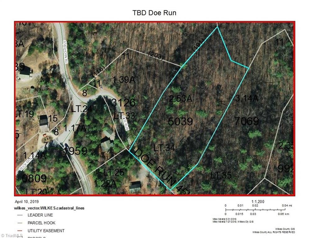 Tbd Doe Run Purlear, NC 28665 - Photo 14 of 15