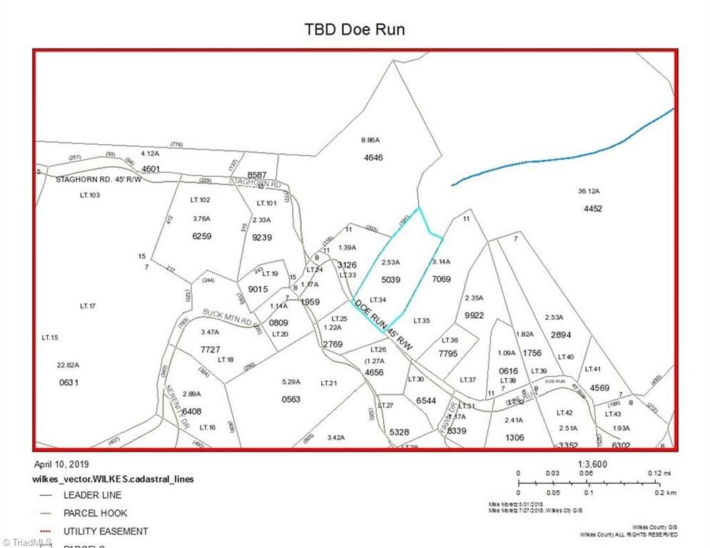 Tbd Doe Run Purlear, NC 28665 - Photo 15 of 15