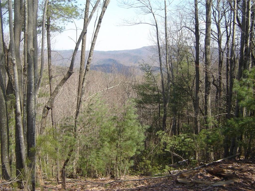 Tbd Doe Run Purlear, NC 28665 - Photo 3 of 15