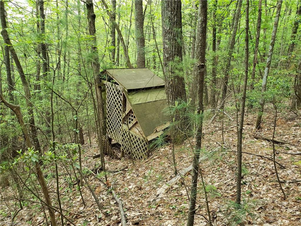Tbd Doe Run Purlear, NC 28665 - Photo 6 of 15