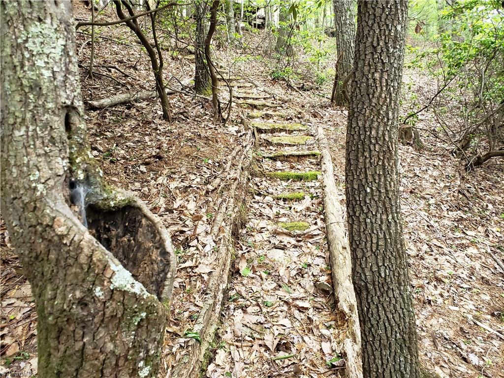 Tbd Doe Run Purlear, NC 28665 - Photo 8 of 15