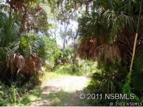 0 Burma Road New Smyrna Beach, FL 32168 - Photo 1 of 20 a view of lake