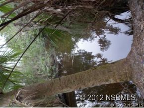 0 Burma Road New Smyrna Beach, FL 32168 - Photo 11 of 20 a view of a park
