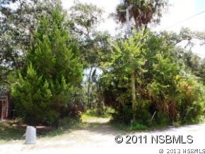 0 Burma Road New Smyrna Beach, FL 32168 - Photo 12 of 20 a view of a park