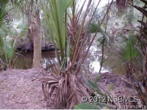 0 Burma Road New Smyrna Beach, FL 32168 - Photo 13 of 20 a view of a yard