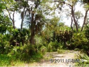 0 Burma Road New Smyrna Beach, FL 32168 - Photo 14 of 20 a view of entrance