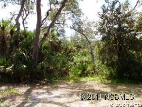0 Burma Road New Smyrna Beach, FL 32168 - Photo 15 of 20 a view of outdoor space with a garden