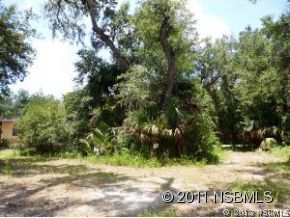 0 Burma Road New Smyrna Beach, FL 32168 - Photo 18 of 20 a view of a yard with a tree