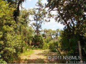 0 Burma Road New Smyrna Beach, FL 32168 - Photo 19 of 20 a view of mountain