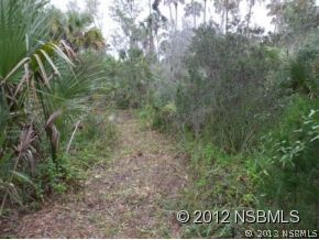 0 Burma Road New Smyrna Beach, FL 32168 - Photo 6 of 20 a view of a field