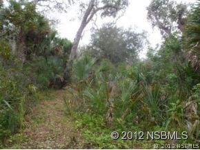 0 Burma Road New Smyrna Beach, FL 32168 - Photo 7 of 20 a view of a field