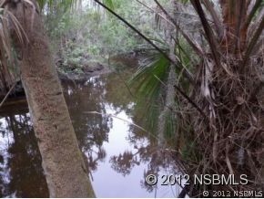 0 Burma Road New Smyrna Beach, FL 32168 - Photo 8 of 20 a view of a tree with a yard