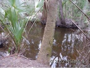 0 Burma Road New Smyrna Beach, FL 32168 - Photo 9 of 20 a view of a yard