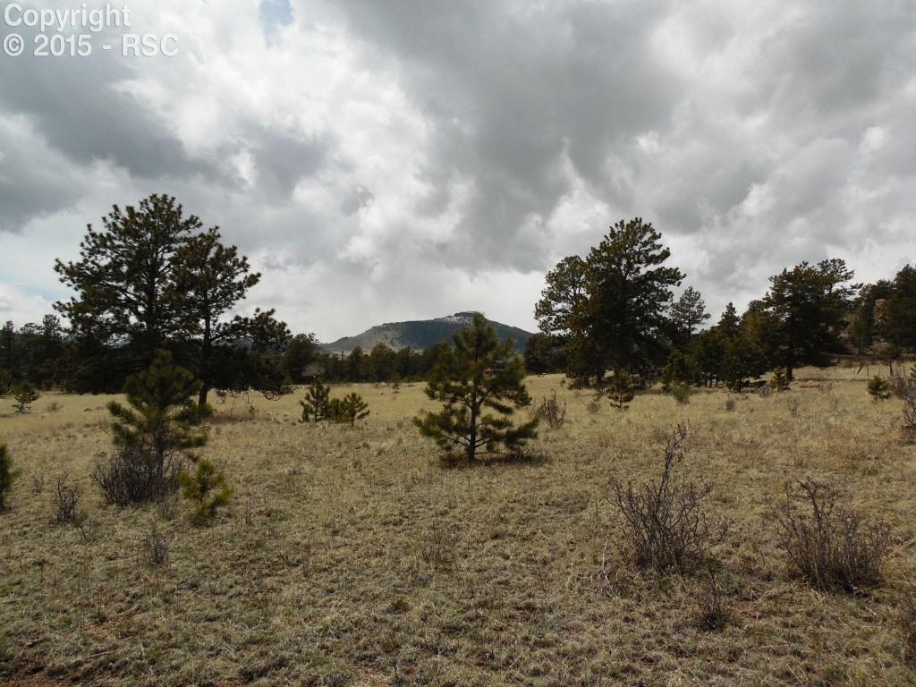 101 Pineway Road Guffey, CO 80820 - Photo 1 of 11 Level and attractive acreage