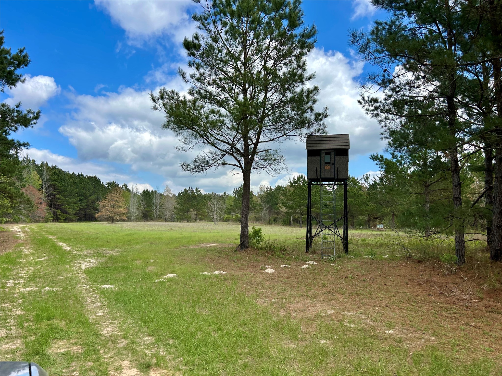 0 Alto Ranch Alto, TX 75925 - Photo 42 of 50