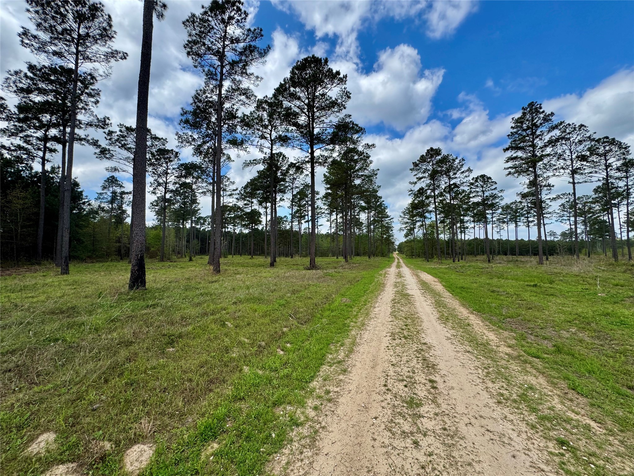 0 Alto Ranch Alto, TX 75925 - Photo 43 of 50