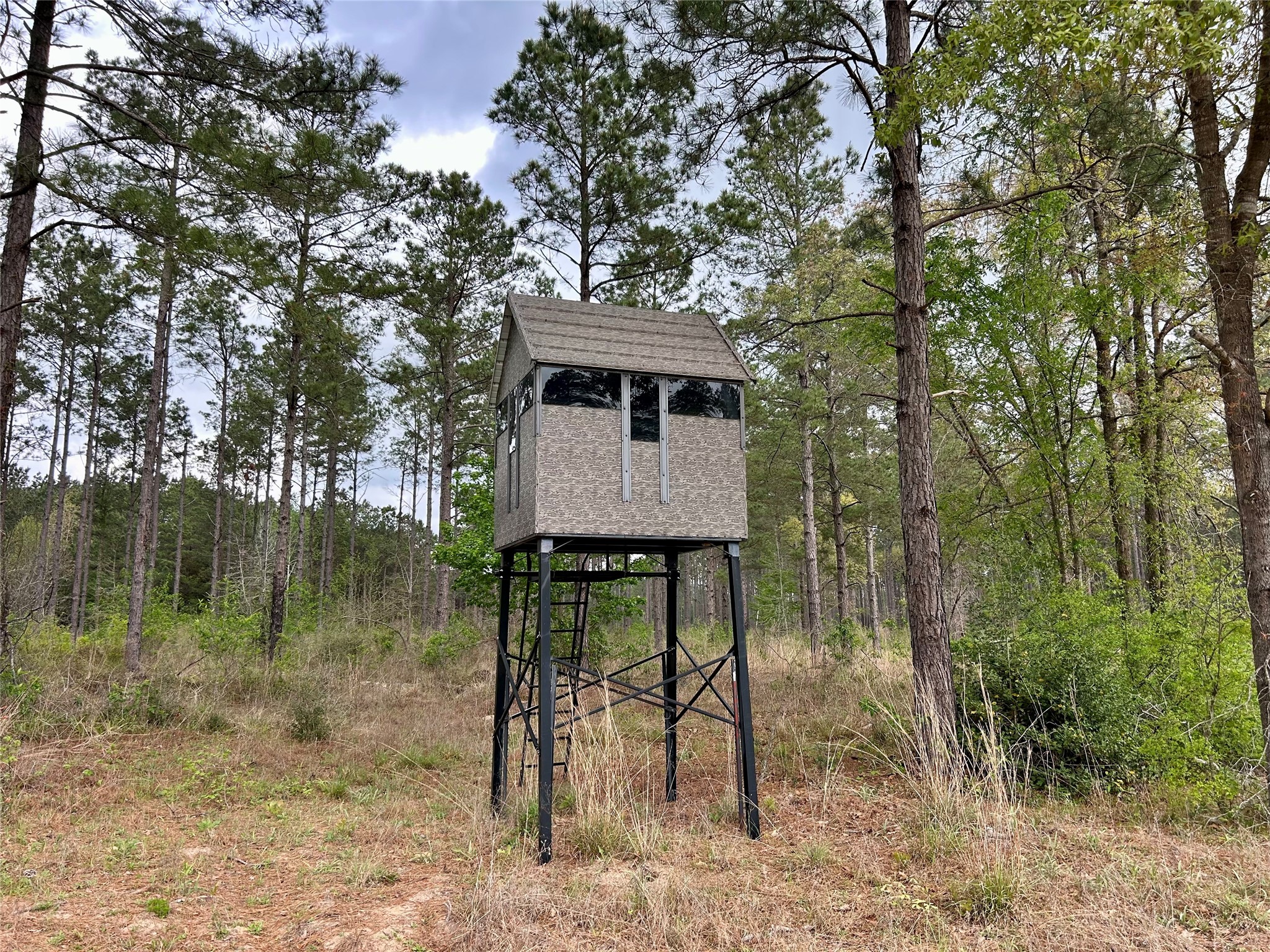 0 Alto Ranch Alto, TX 75925 - Photo 46 of 50