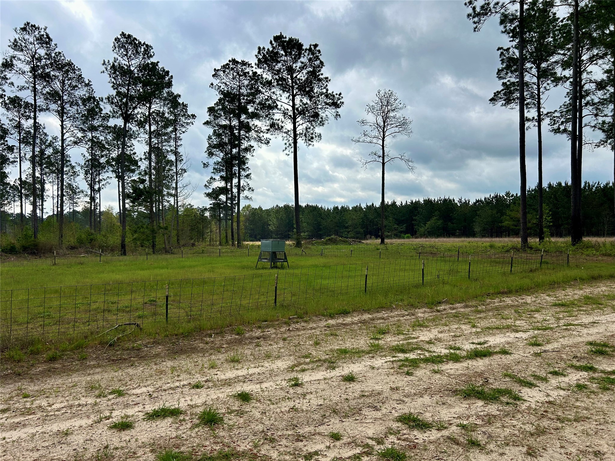 0 Alto Ranch Alto, TX 75925 - Photo 47 of 50