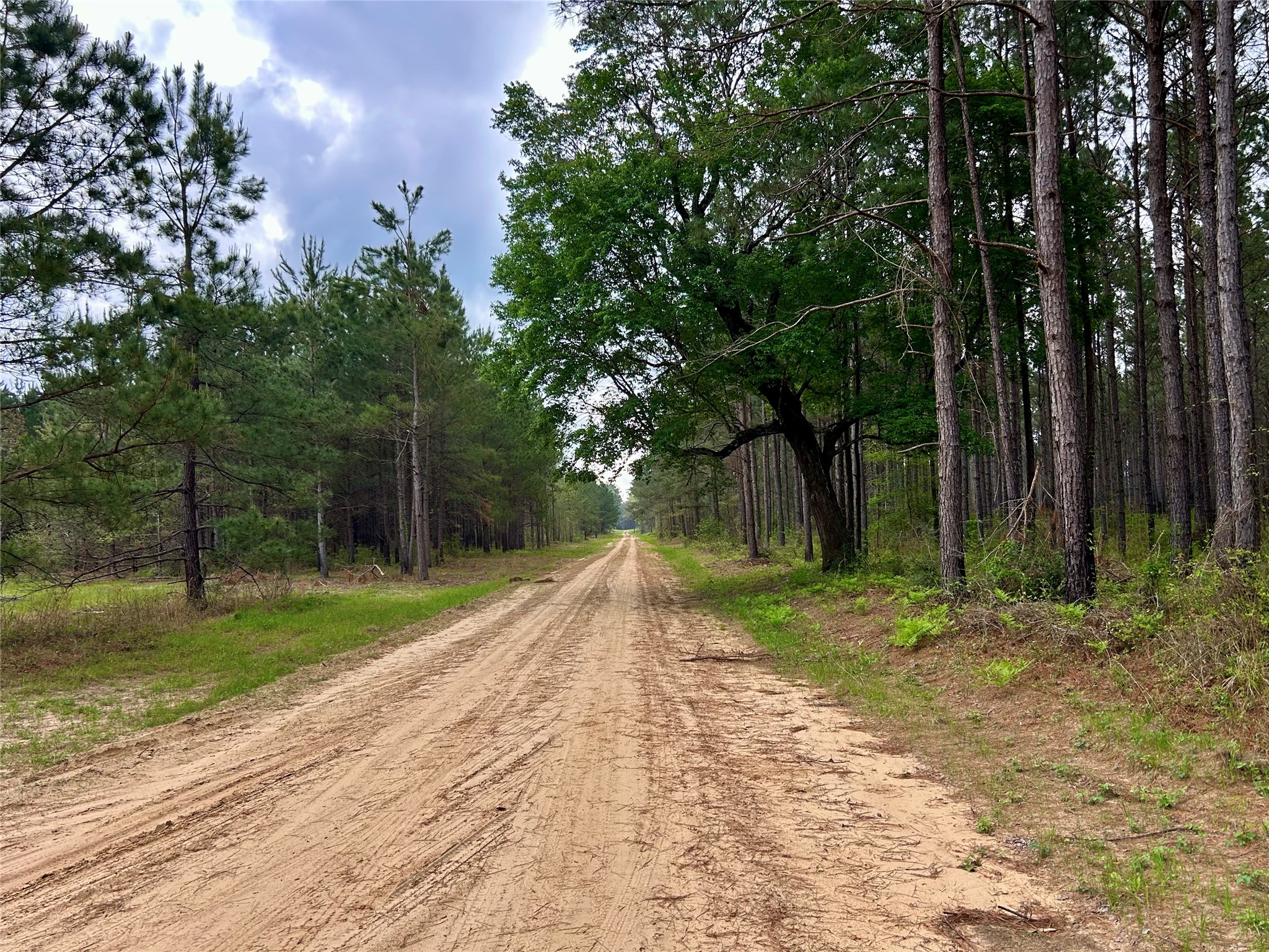 0 Alto Ranch Alto, TX 75925 - Photo 48 of 50