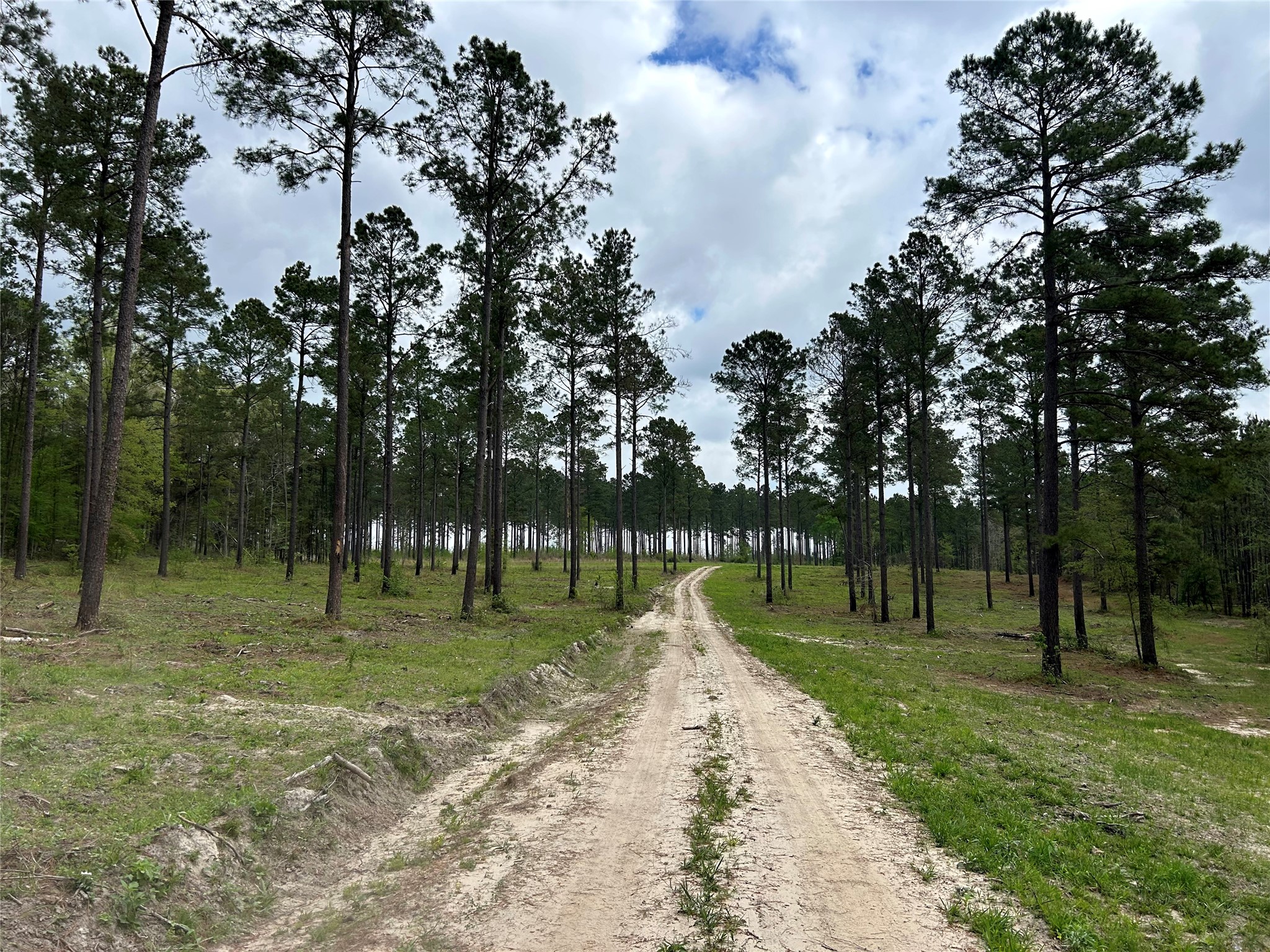 0 Alto Ranch Alto, TX 75925 - Photo 49 of 50