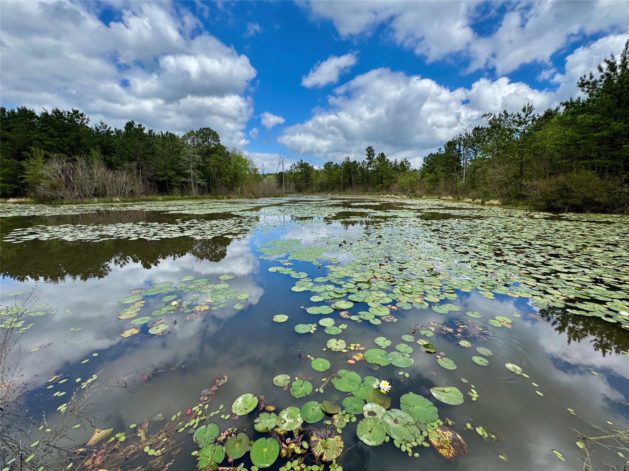 0 Alto Ranch Alto, TX 75925 - Photo 50 of 50
