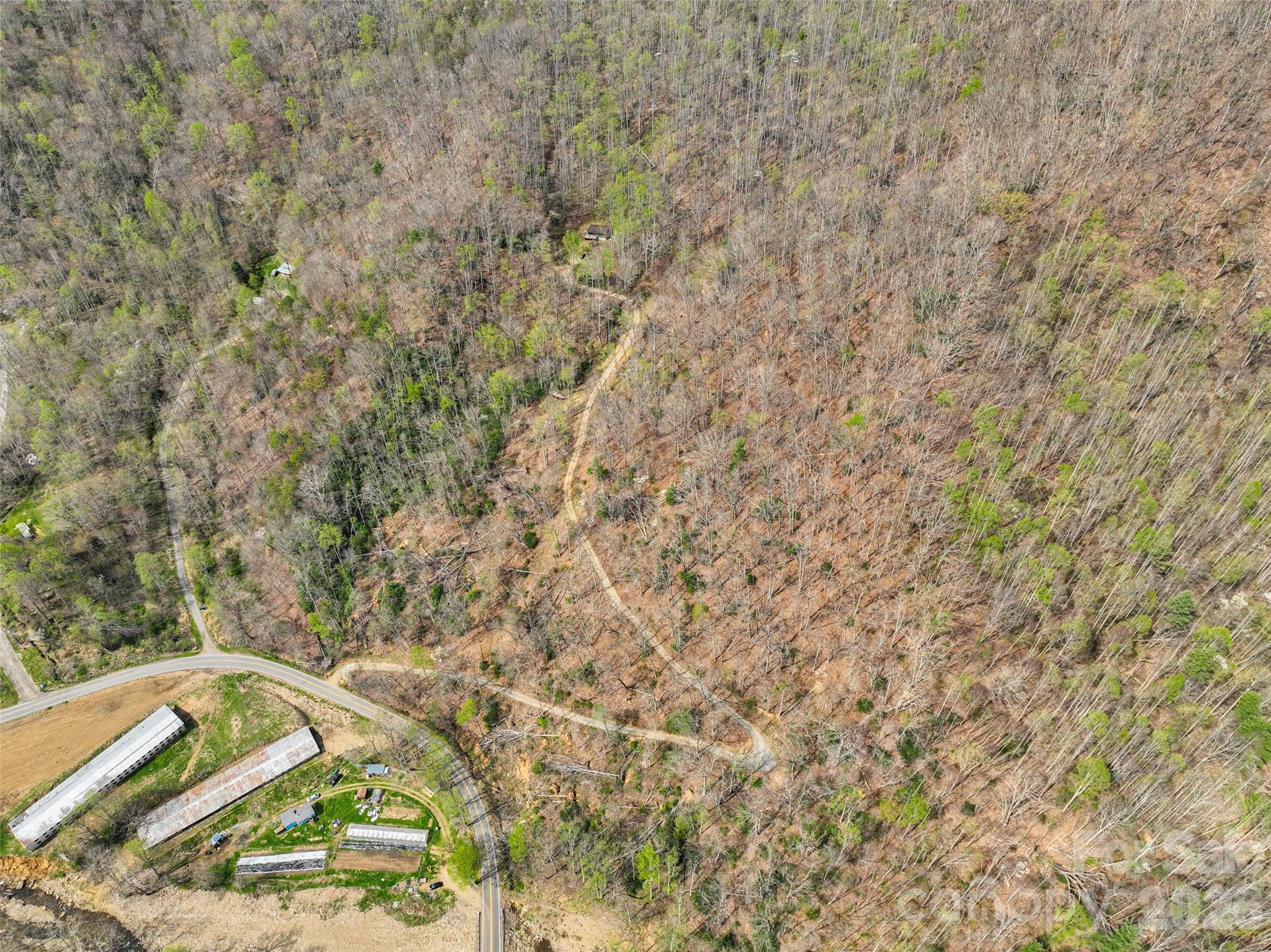 183 Stoney Fork Road Barnardsville, NC 28709 - Photo 32 of 34