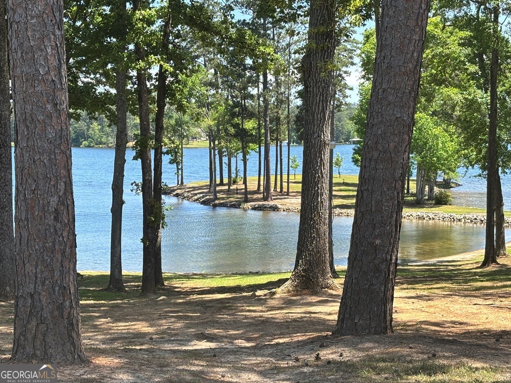 1000 Marigold Road, Unit 25 Sparta, GA 31087 - Photo 49 of 50