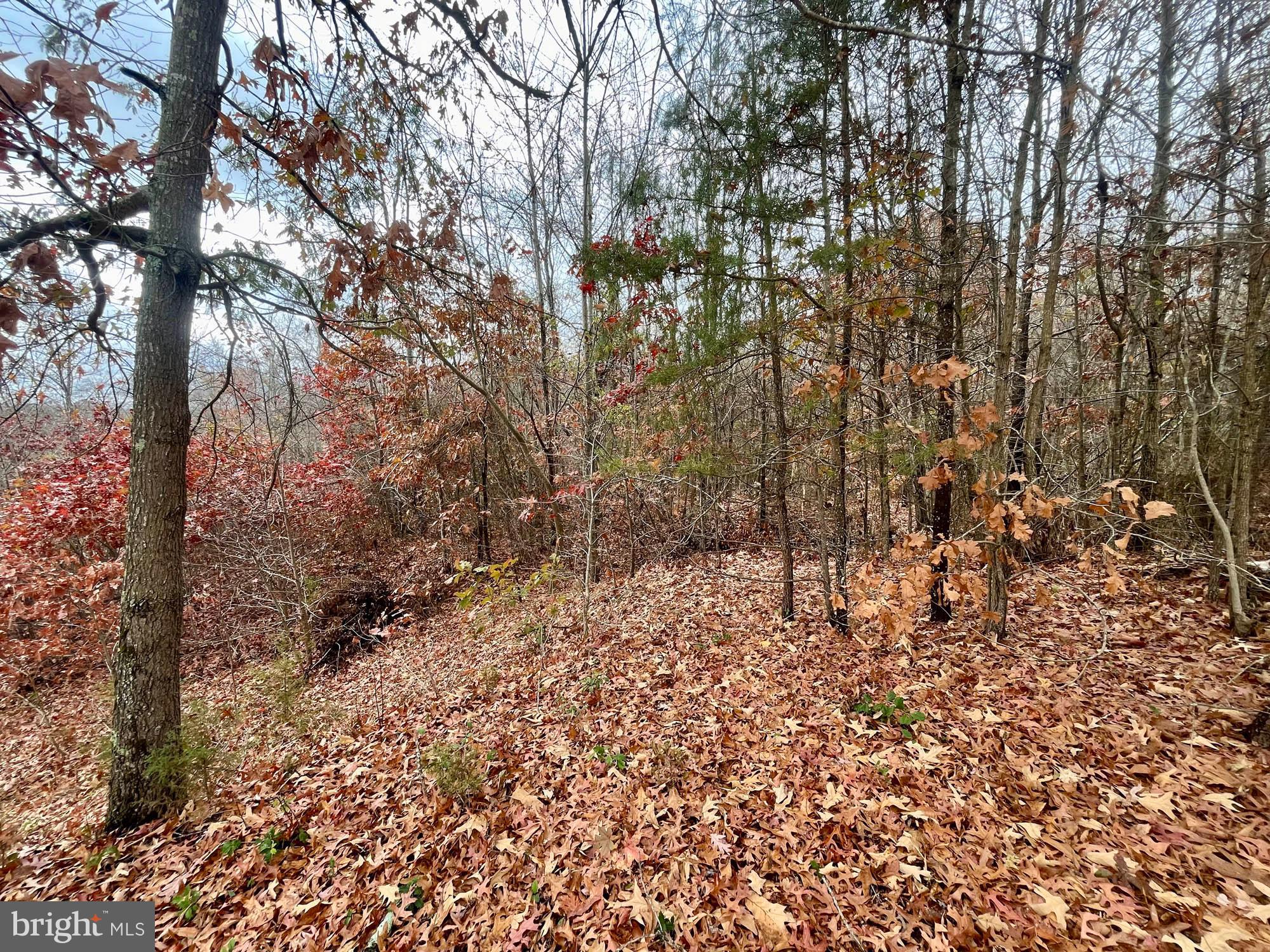 20709 Aquasco Road Aquasco, MD 20608 - Photo 16 of 25