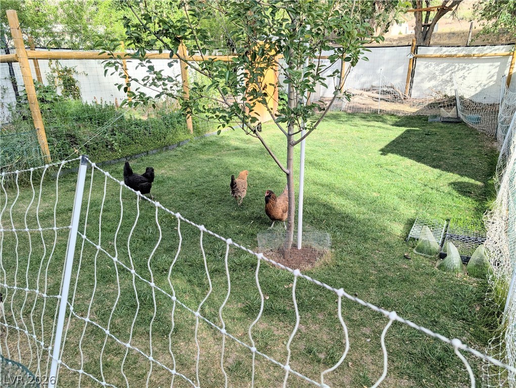 102 Rowan Drive Caliente, NV 89008 - Photo 19 of 28 A well-maintained, fenced yard provides ample space for a productive garden.