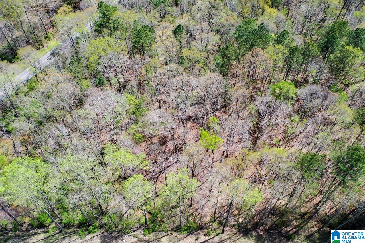0 County Road 15 Locust Fork, AL 35097 - Photo 7 of 14