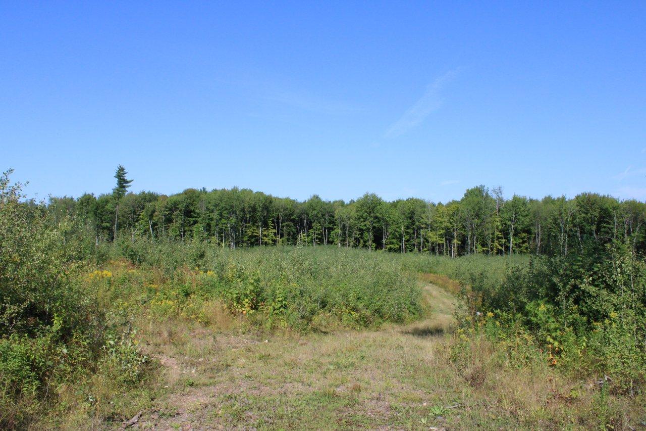Off Danish Settlement Road Phillips, WI 54555 - Photo 13 of 20 Gallery Image 13