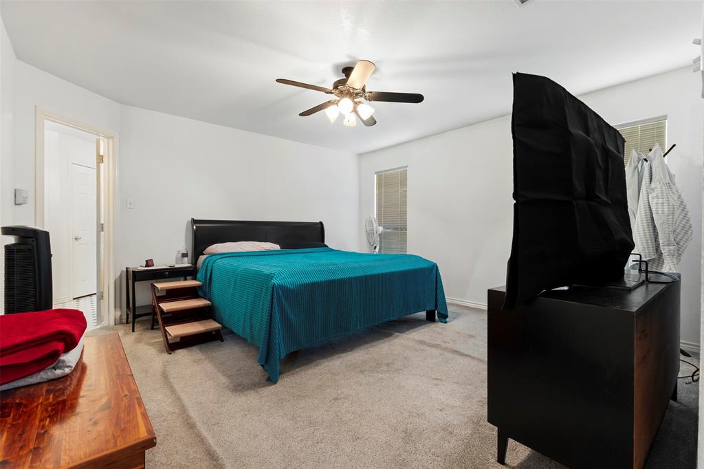 401 Rugged Drive Red Oak, TX 75154 - Photo 20 of 40 Carpeted bedroom with a ceiling fan light fixture and multiple windows for natural light