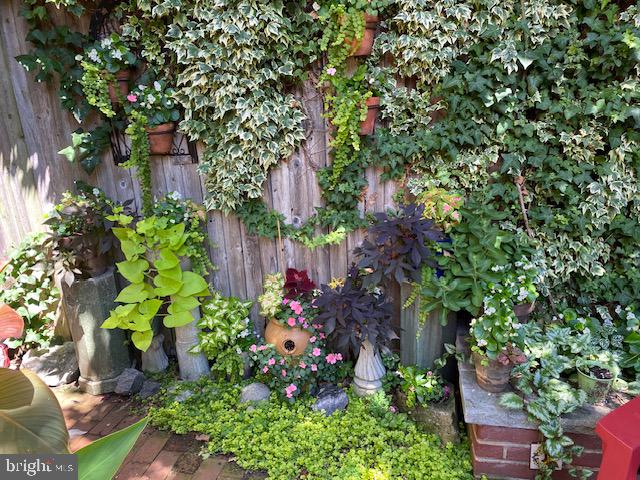 230 Morris Street Philadelphia, PA 19148 - Photo 27 of 53