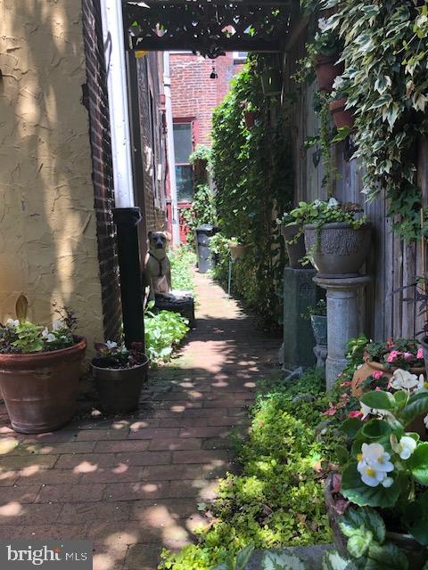 230 Morris Street Philadelphia, PA 19148 - Photo 31 of 53