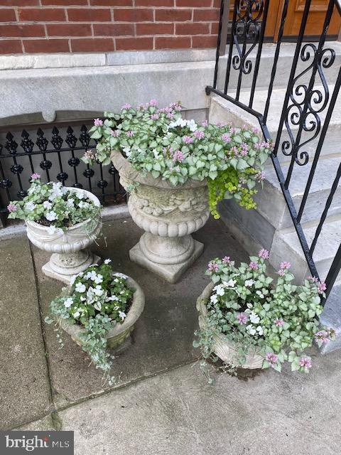 230 Morris Street Philadelphia, PA 19148 - Photo 5 of 53