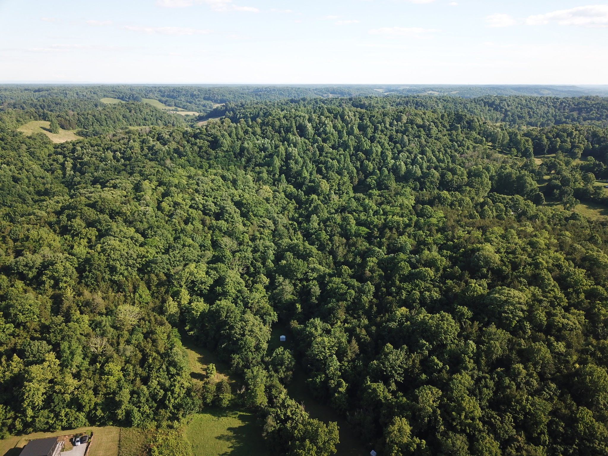 0 Norton Branch Road Beechgrove, TN 37018 - Photo 20 of 36 Gallery Image 20