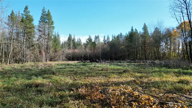 a view of a yard with trees in front of it